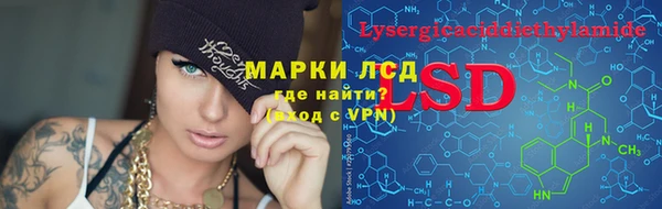 шишки Алексин