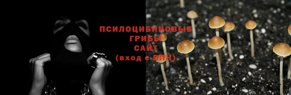 шишки Алексин