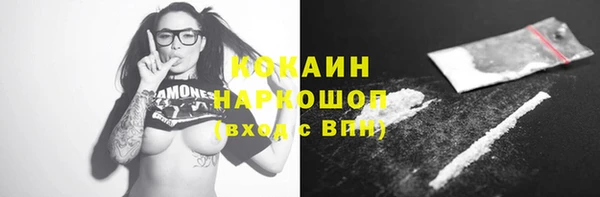 шишки Алексин