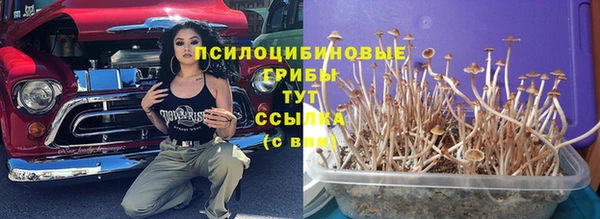 ПСИЛОЦИБИНОВЫЕ ГРИБЫ Алзамай