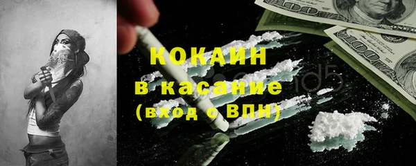 шишки Алексин