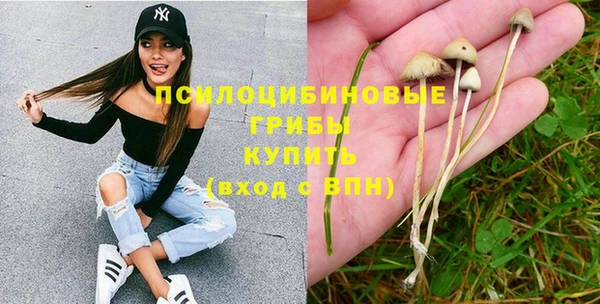 ПСИЛОЦИБИНОВЫЕ ГРИБЫ Алзамай
