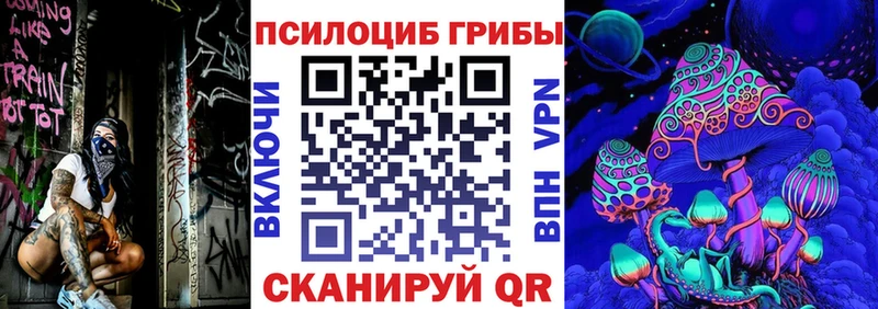 Галлюциногенные грибы Psilocybine cubensis  Курлово 